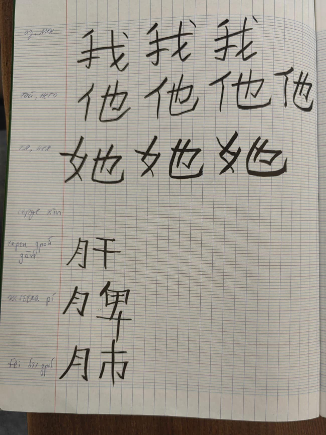 tu pian4 xue yuan de han zi zuo ye