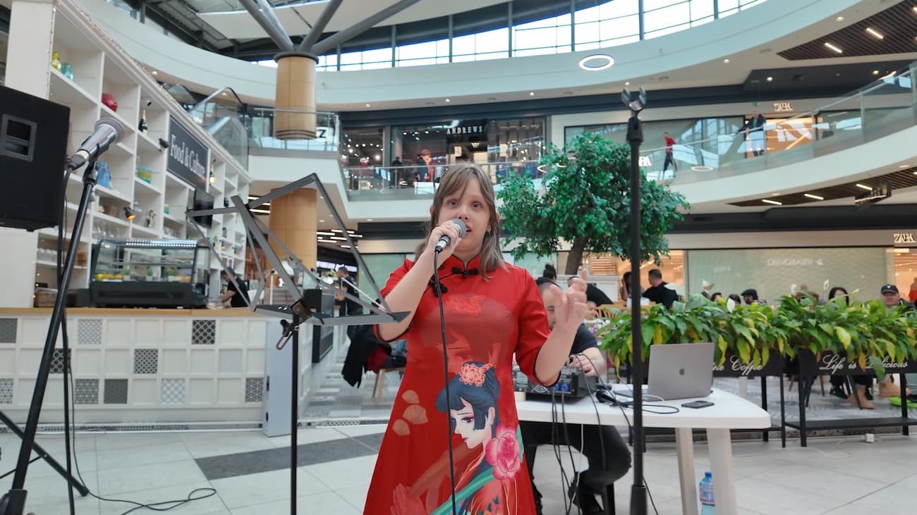 Снимка 6: Песента „Един стрък сливов цвят“ („一剪梅“)