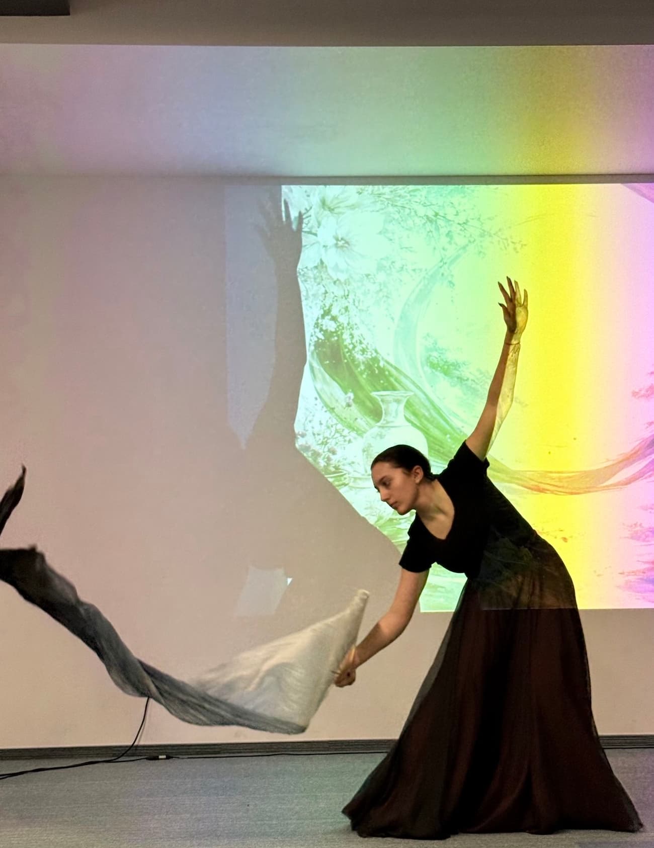  Photo 2: Fan dance performance